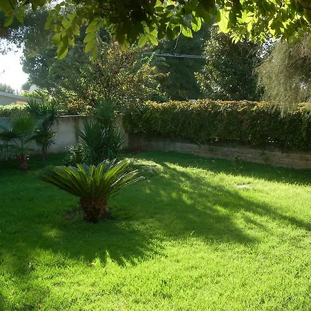 Verde Arenella (Syracuse)